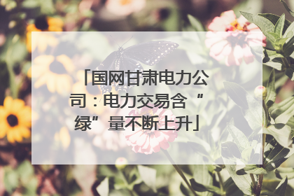 国网甘肃电力公司：电力交易含“绿”量不断上升